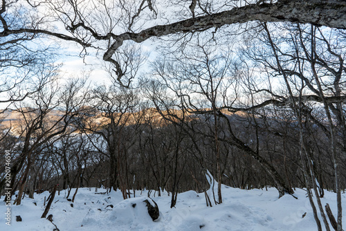 Hiking Routes on Mount Akagi and the Surrounding Area