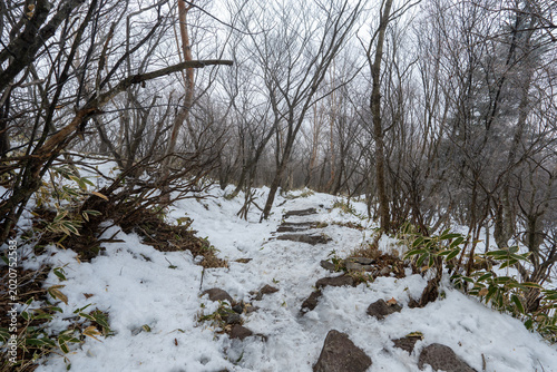Hiking Routes on Mount Akagi and the Surrounding Area