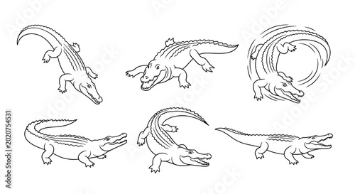 Set of Hand-Drawn Alligator Poses in Various Wildlife Activities