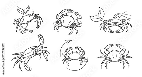 Crab line art collection, hand-drawn marine animals set