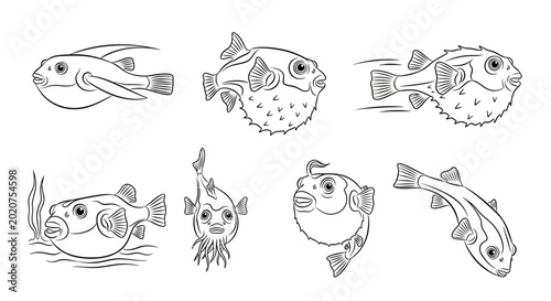 Set of Hand-Drawn Pufferfish Illustrations in Various Poses