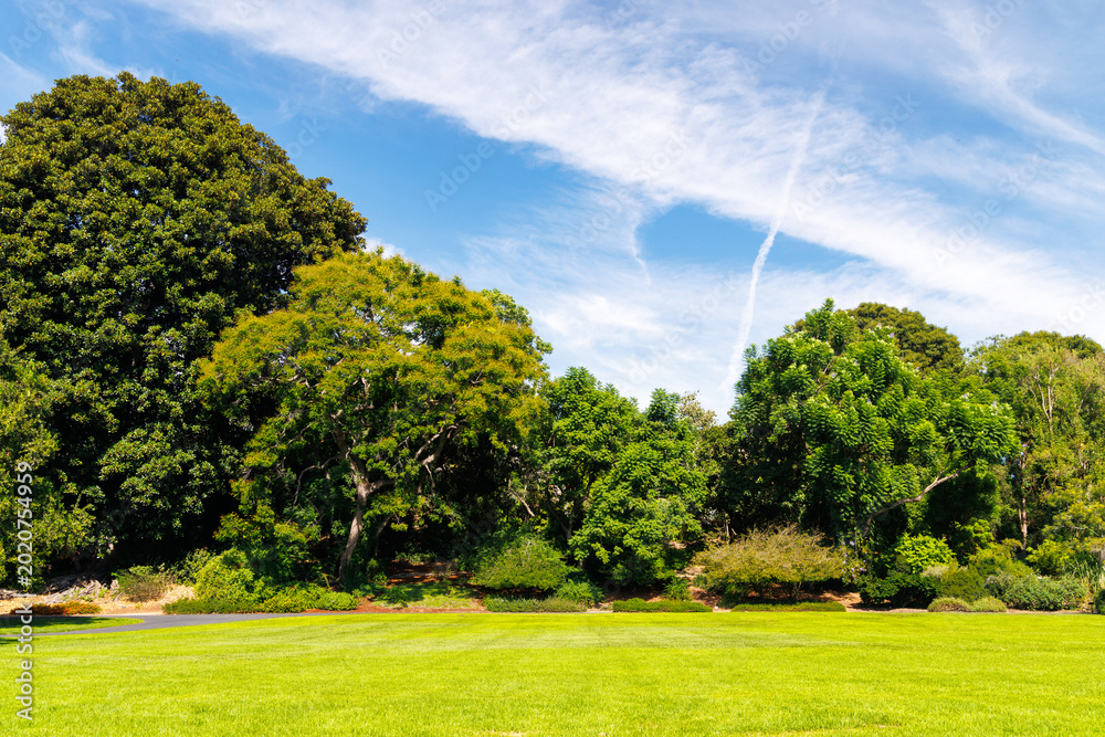 Obraz premium A vast green grass meadow stretching towards the horizon with a trees