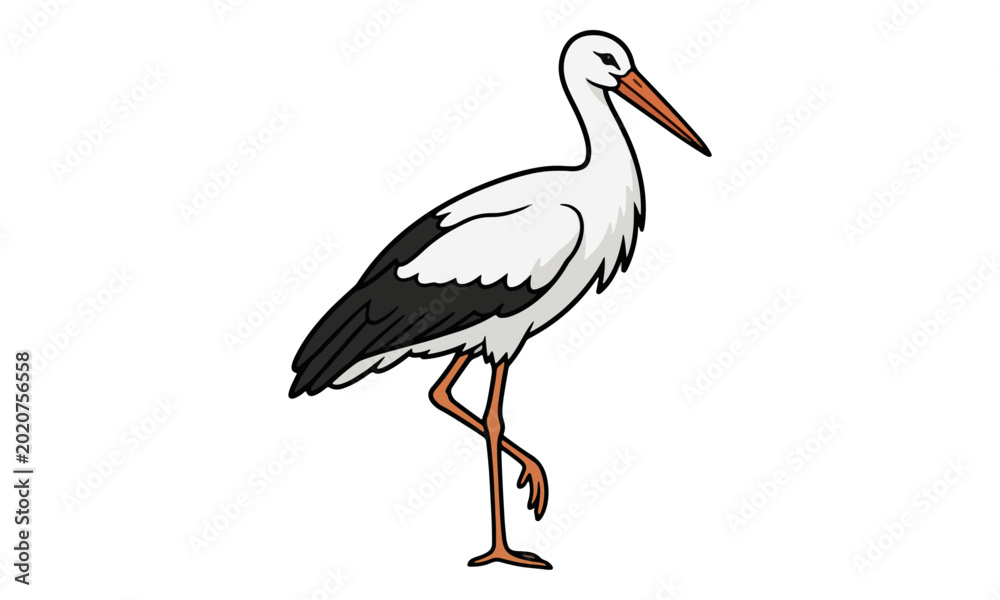 Naklejka premium White Stork Standing on One Leg Isolated on White Background