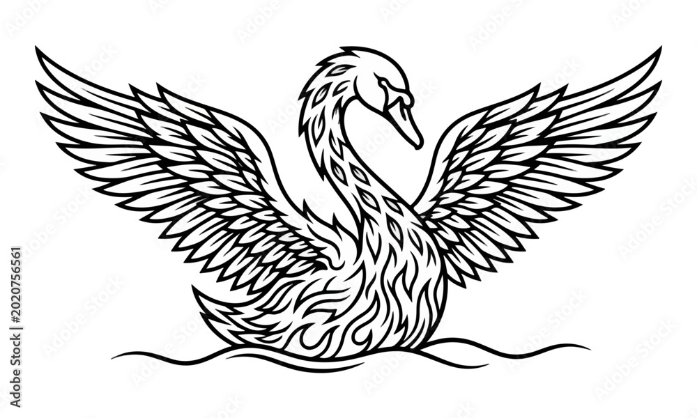 Fototapeta premium Swan line art illustration with spread wings on water