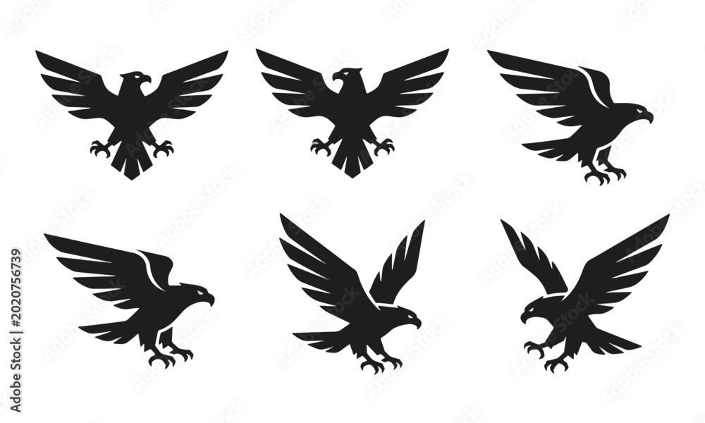 Obraz premium Eagle Hawk Silhouette Icons Collection on White Background