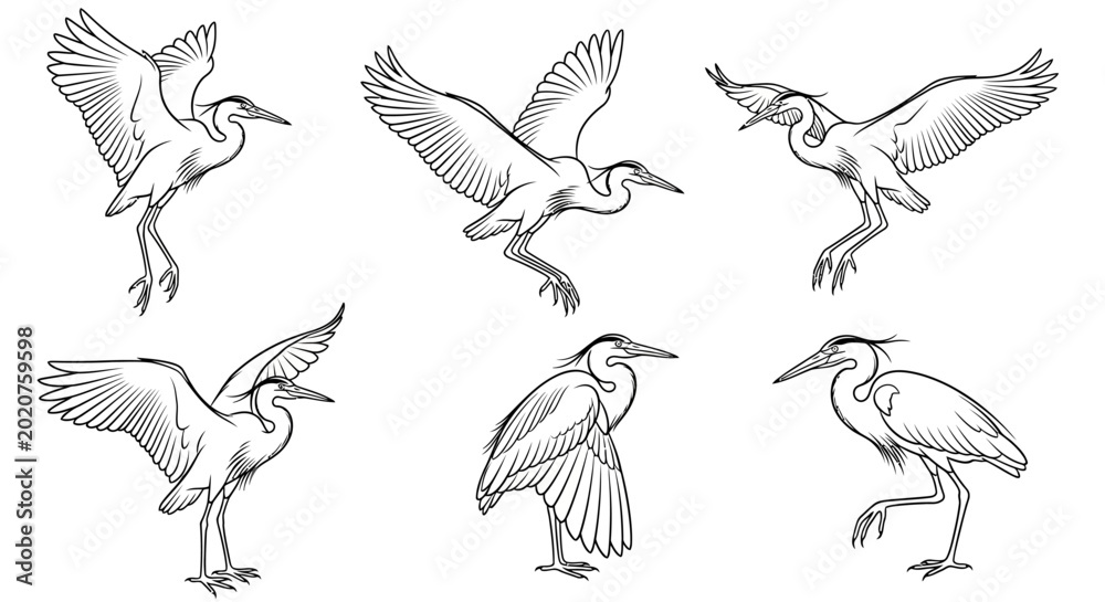 Fototapeta premium Heron Bird Set, Hand-Drawn Sketch Collection of Graceful Herons