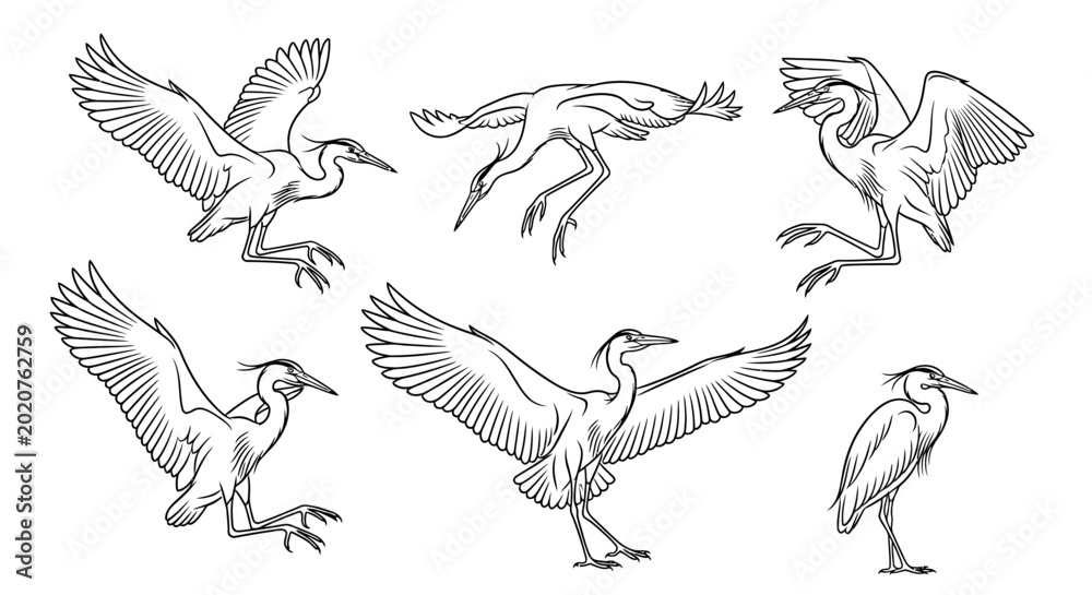 Naklejka premium Set of Hand-Drawn Heron Illustrations in Various Dynamic Poses