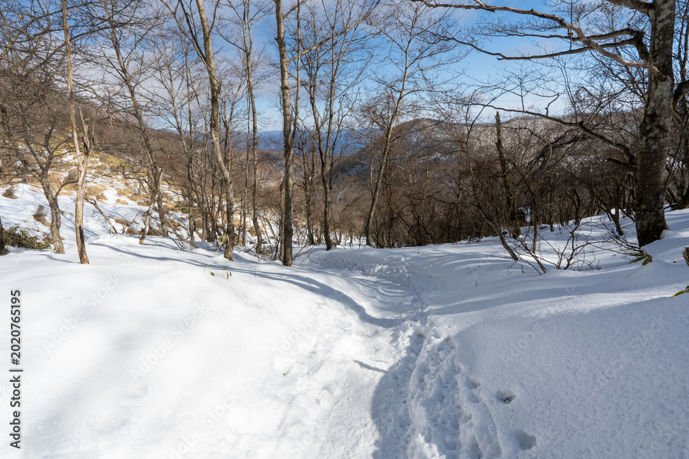 Obraz premium Hiking Routes on Mount Akagi and the Surrounding Area