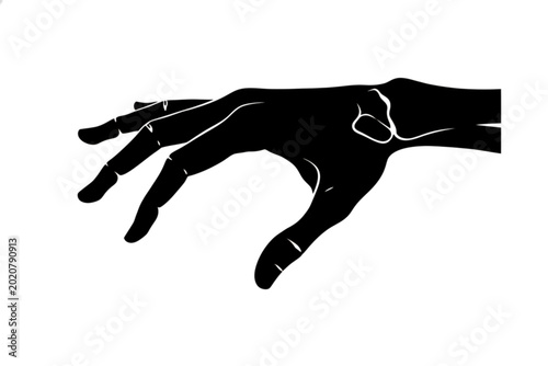 Photos Silhouette Hand Gesture: A stark silhouette of a hand, its fingers delicately curved, extending outward, conveys a sense of invitation, offering, or perhaps a silent plea