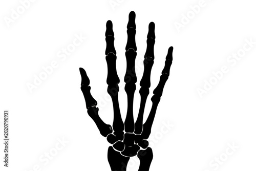 Tableau sur toile Anatomical Silhouette of a Hand: A stark silhouette of a human hand, meticulously rendered, revealing the intricate bone structure