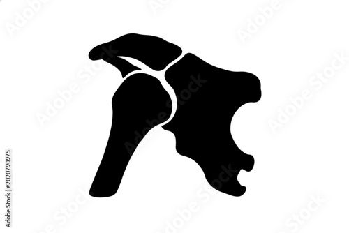 Fotografia Anatomy Shoulder Joint: A stark, minimalist illustration of a human shoulder joi