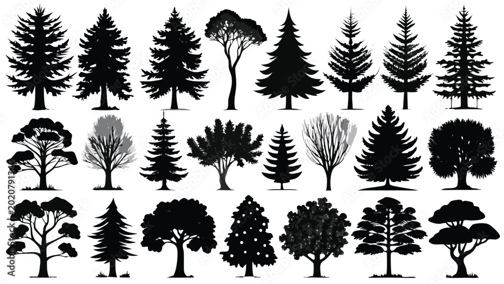Fototapeta premium Diverse evergreen and deciduous trees in silhouette set against a clean white background
