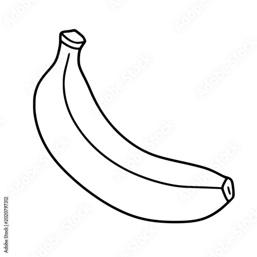 banana vector illustration