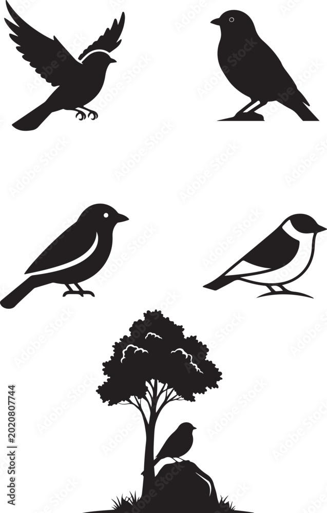 Fototapeta premium set of birds vector