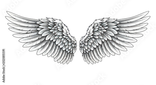 Foto Detailed Angel Wings Illustration, White Feathers, Isolated on White Background