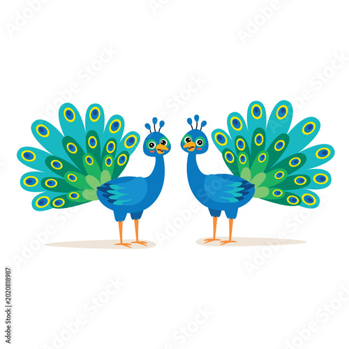peacock with feathers, illustrate peacock 