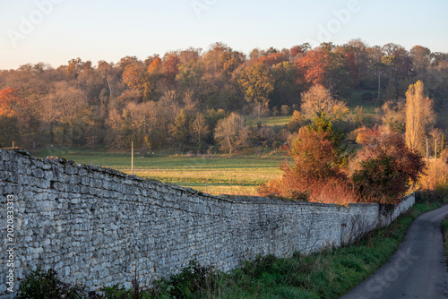 Autumn colours in castle park - Grignon - Plaisir - Yvelines - Ile-de-France - France