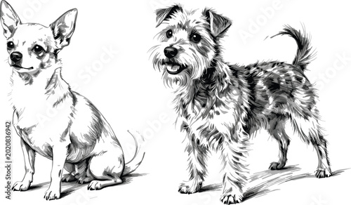 Bild auf Leinwand Hand drawn small dog breeds collection with chihuahua and schnauzer detailed mon