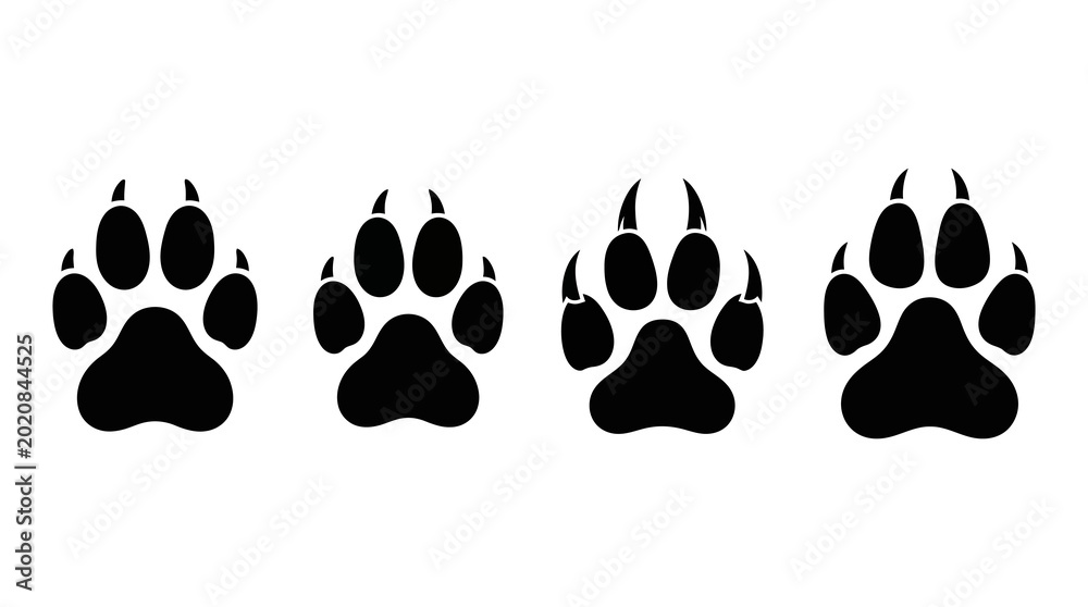 Fototapeta premium Four black paw print icons with animal track white background wild animal