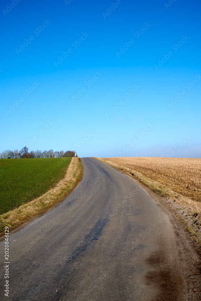 Obraz premium Landscape, field and blue sky with road in nature for natural tourism, agricultural scenery or land. Countryside, grass or asphalt street in rural environment for scenic route, travel or mockup space