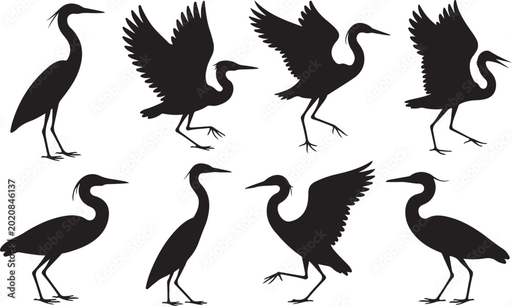 Fototapeta premium Black silhouettes of cranes in different poses