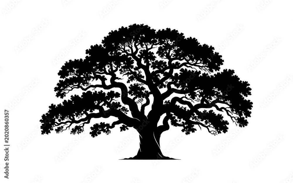 Fototapeta premium An isolated black tree silhouette vector with branches and leaves representing nature, growth, and the forest environment