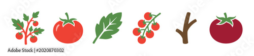 Set of simple tomato vector icons showing a growing plant, whole fruit, green leaf, and cherry tomatoes on the vine in a clean, flat, graphic design style