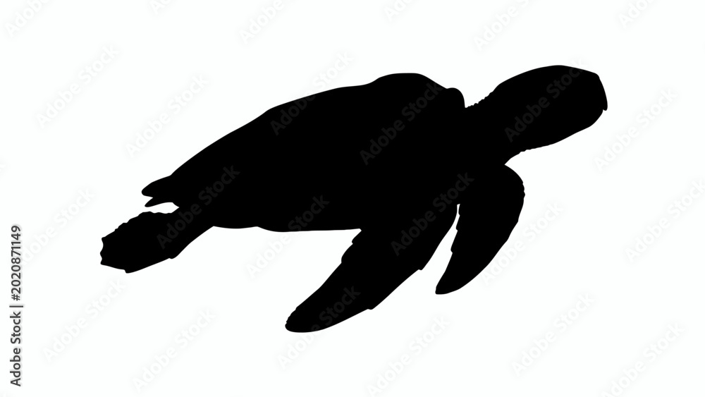 Fototapeta premium turtle silhouette vector
