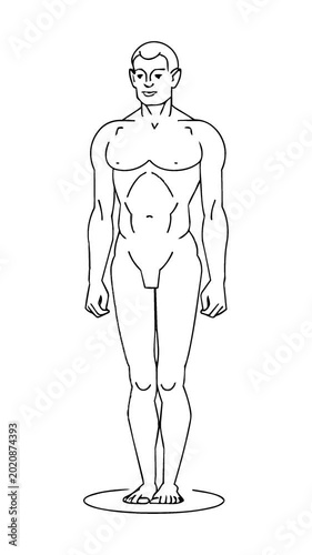 Male Anatomy Character Turnaround Animation, Female Body Anatomy Character Rotation Animation
