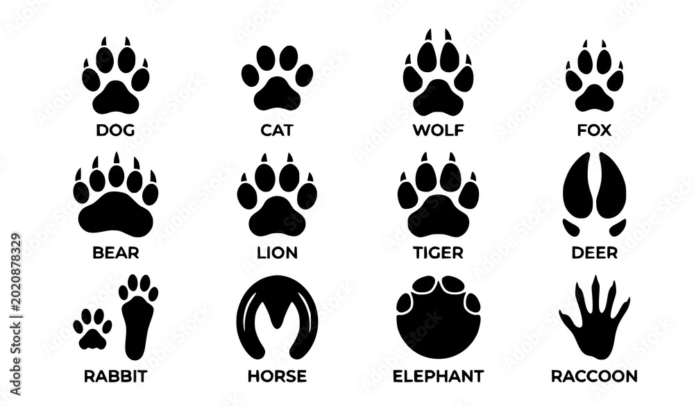 Αυτοκόλλητο Domestic and wild animal footprint vector set with paw track silhouettes isolate