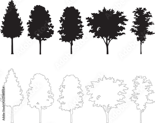 Black tree silhouettes and outline icons set, 10 deciduous and evergreen tree vector elements, forest plant shapes for landscape design and architecture
