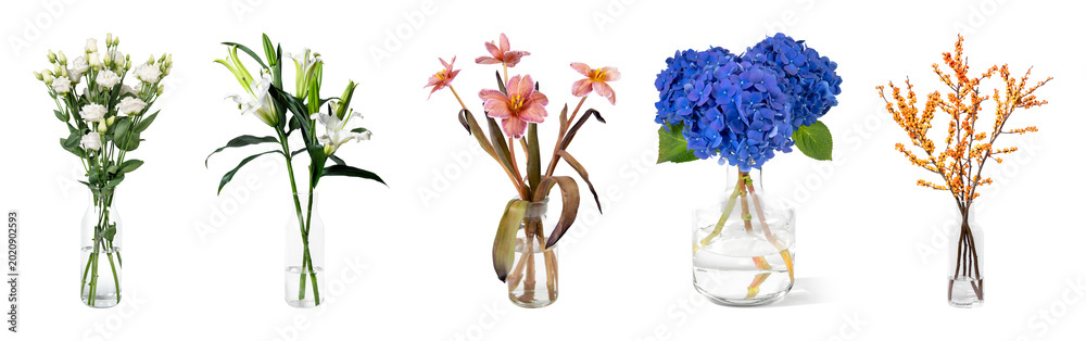 Obraz premium PNG Vibrant floral arrangements in vases on transparent background