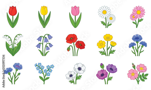 Foto Set of colorful spring flowers isolated on white background