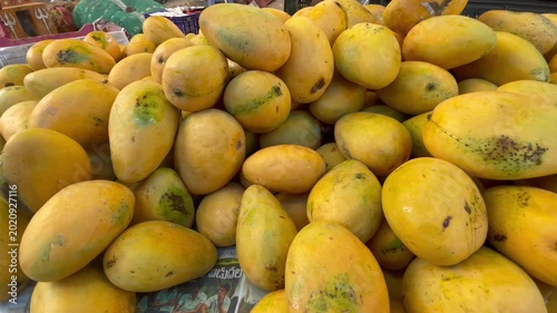 Baganapalle mangoes for sale in the market in andhra pradhesh