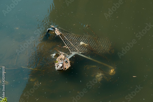 Discarded shopping cart in a canal