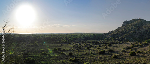 Foto Panoramic sunset over Maremma Regional Park landscape with coastal pine forest a