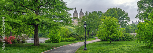 Central Park in spring, early morning