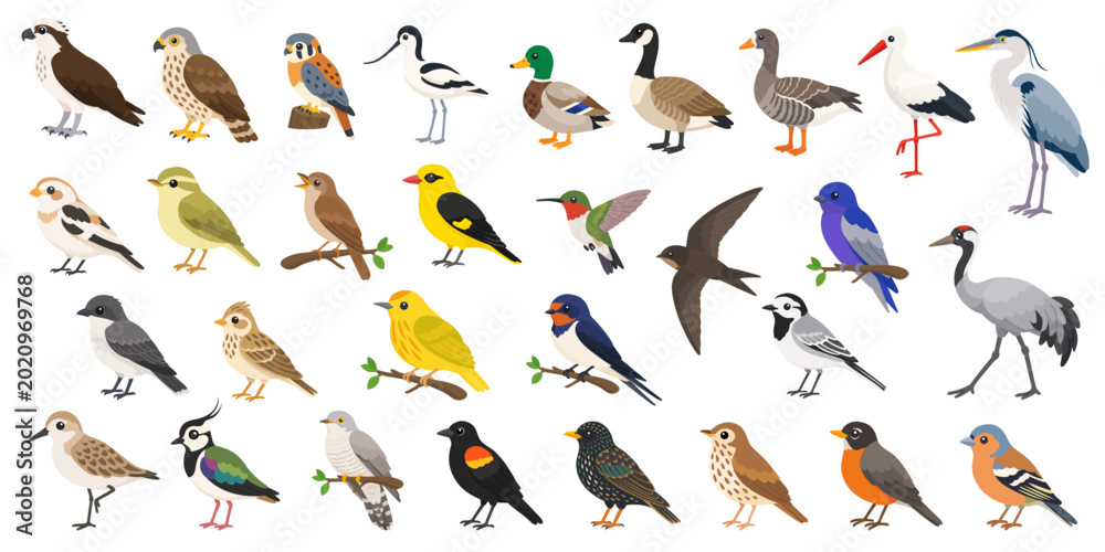 Naklejka premium Migratory birds collection in cute flat vector style featuring stork, heron, swallow, crane, hummingbird and duck seasonal wildlife icons