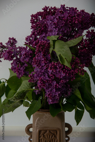 fragrant purple lilac in a vase on the window