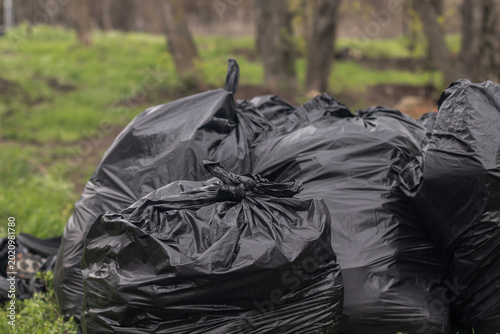 Photos Trash bags on green grass