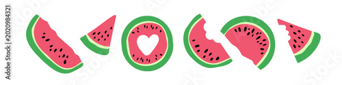 Watermelon. Whole Watermelon and Slices