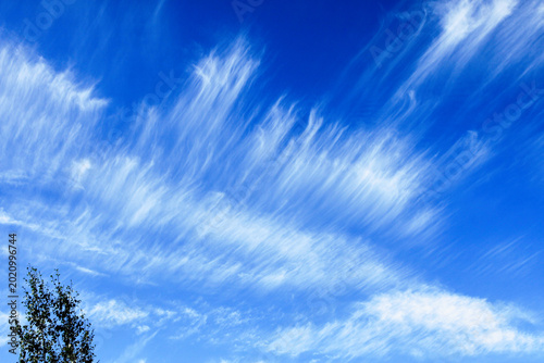 Photography Blue sky with white cirrus clouds stretching across the atmosphere above a tree silhouette