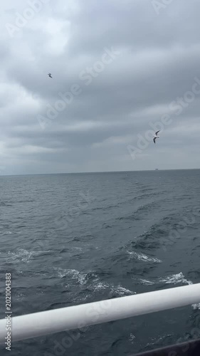 View from a moving ferry boat looking out at the sea and distant mountains