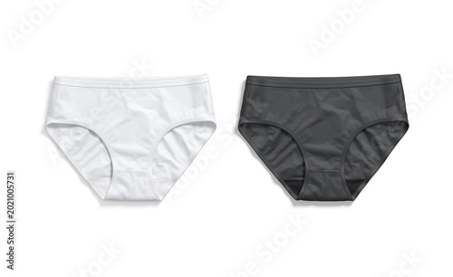 Blank black and white women briefs underwear mockup png, transparent background, 3d rendering. Empty fabric classic woman panties bodice mock up cut out. Clear thongs or high-cut underpants clothes.