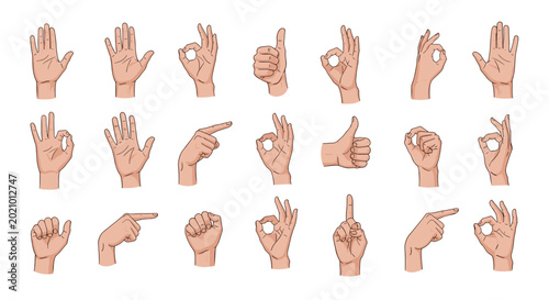 Set of eighteen realistic hand gesture illustrations showing common signs like thumbs up and pointing on a white base.