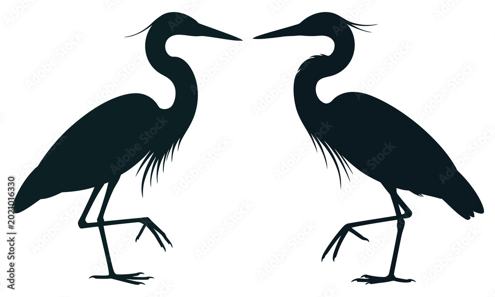 Naklejka premium heron and bird