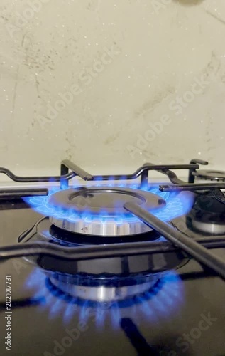 Blue Gas Flame on Kitchen Stove
