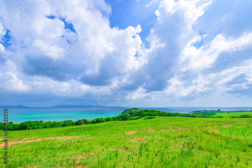 Foto 白い雲と青い海を望む石垣島の開放感あふれる草原風景