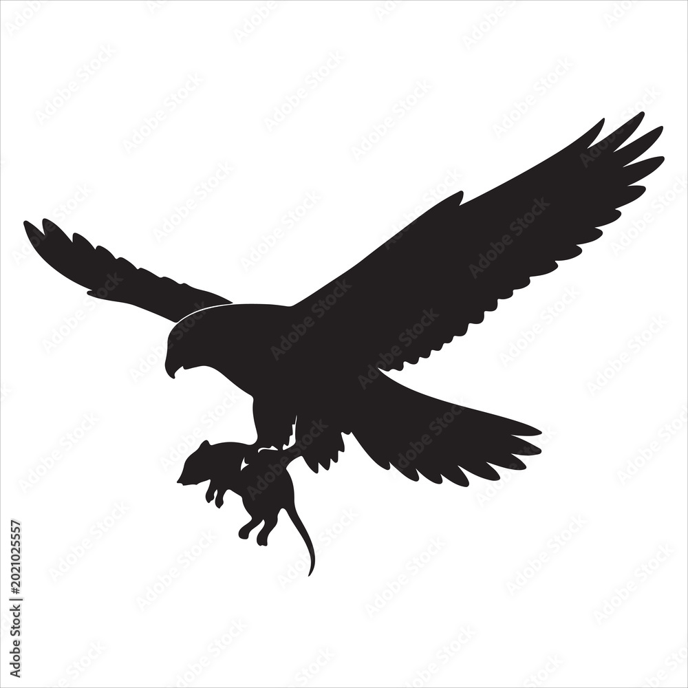 Fototapeta premium Eagle carrying small prey in flight