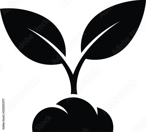 Black Plant Growing Out of Soil with Two Leaves on White Background